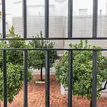 Allo Porvenir Centro 1 Херес-де-ла-Фронтера