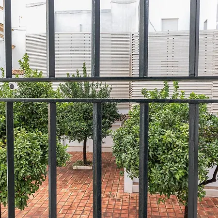 Allo Porvenir Centro 1 Jerez de la Frontera