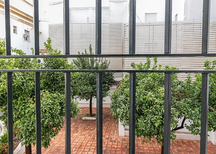 Allo Porvenir Centro 1 Jerez de la Frontera