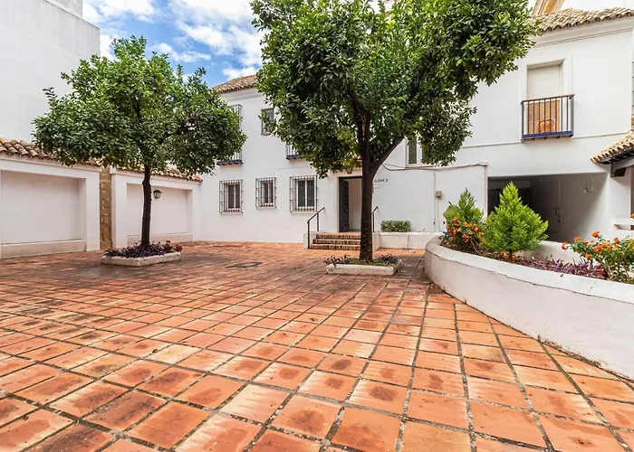 Allo Porvenir Centro 1